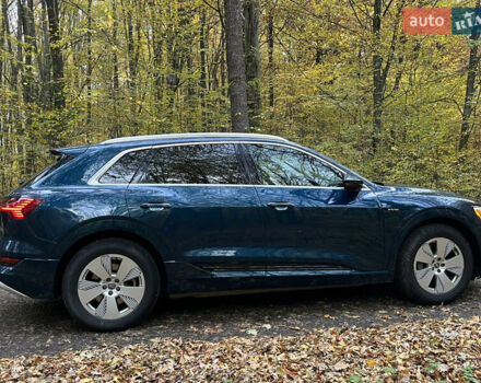 Синий Ауди E-Tron, объемом двигателя 0 л и пробегом 59 тыс. км за 33900 $, фото 18 на Automoto.ua