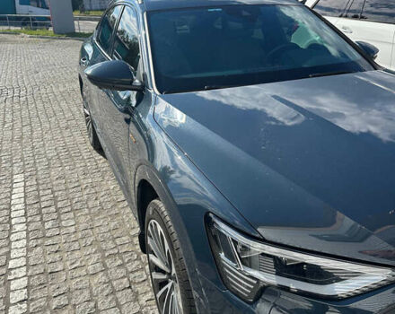 Синій Ауді E-Tron, об'ємом двигуна 0 л та пробігом 34 тис. км за 55000 $, фото 50 на Automoto.ua