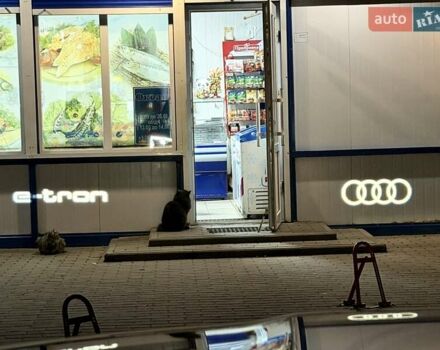 Синий Ауди E-Tron, объемом двигателя 0 л и пробегом 44 тыс. км за 46600 $, фото 72 на Automoto.ua