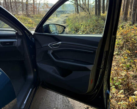 Синий Ауди E-Tron, объемом двигателя 0 л и пробегом 99 тыс. км за 32000 $, фото 13 на Automoto.ua