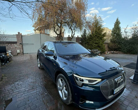 Синий Ауди E-Tron, объемом двигателя 0 л и пробегом 99 тыс. км за 32000 $, фото 20 на Automoto.ua