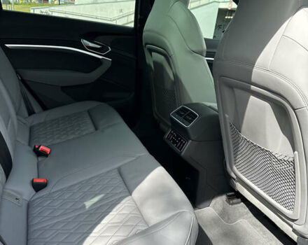 Синий Ауди E-Tron, объемом двигателя 0 л и пробегом 52 тыс. км за 47997 $, фото 43 на Automoto.ua