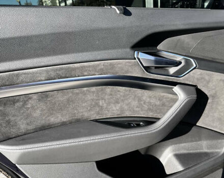 Синій Ауді E-Tron, об'ємом двигуна 0 л та пробігом 82 тис. км за 34800 $, фото 23 на Automoto.ua