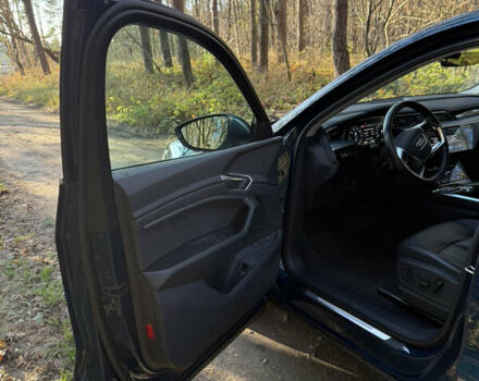 Синий Ауди E-Tron, объемом двигателя 0 л и пробегом 99 тыс. км за 32000 $, фото 10 на Automoto.ua