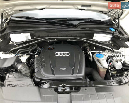 Белый Ауди Ку 5, объемом двигателя 0 л и пробегом 340 тыс. км за 14500 $, фото 27 на Automoto.ua