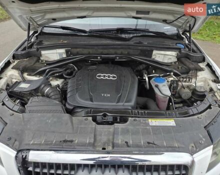 Белый Ауди Ку 5, объемом двигателя 1.97 л и пробегом 272 тыс. км за 9900 $, фото 13 на Automoto.ua