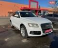 Білий Ауді Ку 5, об'ємом двигуна 2 л та пробігом 221 тис. км за 12700 $, фото 1 на Automoto.ua