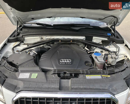 Ауди Ку 5 2013 в Киеве на Automoto.ua Белый Ауди Ку 5, объемом двигателя 2.97 л и пробегом 162 тыс. км за 22900 $, фото 9 на Automoto.ua