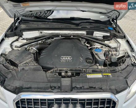 Белый Ауди Ку 5, объемом двигателя 3 л и пробегом 209 тыс. км за 21000 $, фото 46 на Automoto.ua