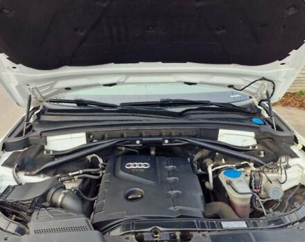 Білий Ауді Ку 5, об'ємом двигуна 2 л та пробігом 190 тис. км за 15555 $, фото 11 на Automoto.ua