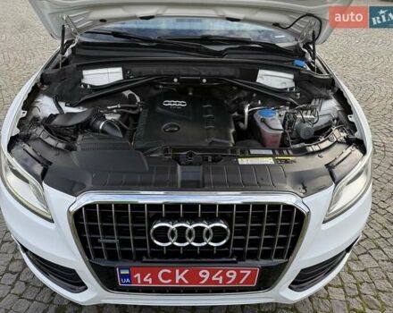 Ауді Ку 5 2017 у Львові на Automoto.ua Білий Ауді Ку 5, об'ємом двигуна 1.98 л та пробігом 147 тис. км за 17499 $, фото 92 на Automoto.ua