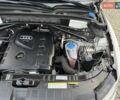 Ауді Ку 5 2017 у Львові на Automoto.ua Білий Ауді Ку 5, об'ємом двигуна 1.98 л та пробігом 147 тис. км за 17499 $, фото 94 на Automoto.ua