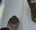 Белый Ауди Ку 5, объемом двигателя 1.98 л и пробегом 178 тыс. км за 24900 $, фото 40 на Automoto.ua