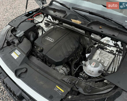 Білий Ауді Ку 5, об'ємом двигуна 1.98 л та пробігом 18 тис. км за 39500 $, фото 45 на Automoto.ua