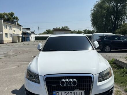 Ауди Ку 5 2011 в Кременчуге на Automoto.ua Белый Ауди Ку 5, объемом двигателя 2 л и пробегом 320 тыс. км за 13500 $, фото 1 на Automoto.ua