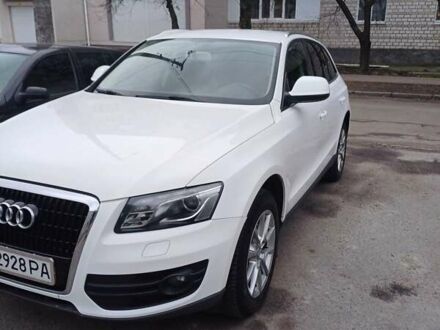 Ауди Ку 5 2011 в Сквира на Automoto.ua Белый Ауди Ку 5, объемом двигателя 2.97 л и пробегом 216 тыс. км за 16500 $, фото 1 на Automoto.ua