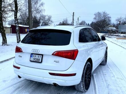 Білий Ауді Ку 5, об'ємом двигуна 2 л та пробігом 29500 тис. км за 10999 $, фото 1 на Automoto.ua