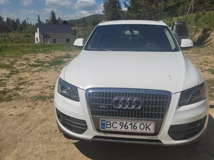 Ауди Ку 5 2011 в Стрые на Automoto.ua Белый Ауди Ку 5, объемом двигателя 2 л и пробегом 160 тыс. км за 17000 $, фото 1 на Automoto.ua