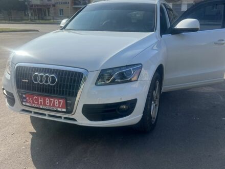 Ауди Ку 5 2012 в Житомире на Automoto.ua Белый Ауди Ку 5, объемом двигателя 2 л и пробегом 237 тыс. км за 11500 $, фото 1 на Automoto.ua