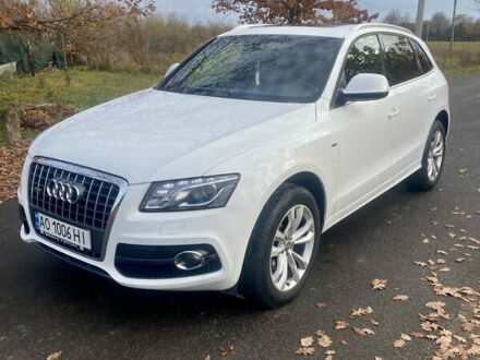 Белый Ауди Ку 5, объемом двигателя 1.98 л и пробегом 230 тыс. км за 14999 $, фото 1 на Automoto.ua