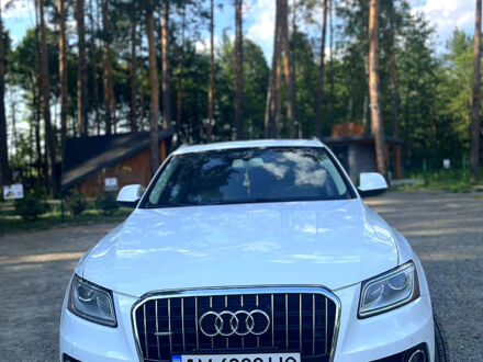 Ауди Ку 5 2013 в Малине на Automoto.ua Белый Ауди Ку 5, объемом двигателя 2 л и пробегом 297 тыс. км за 16700 $, фото 1 на Automoto.ua