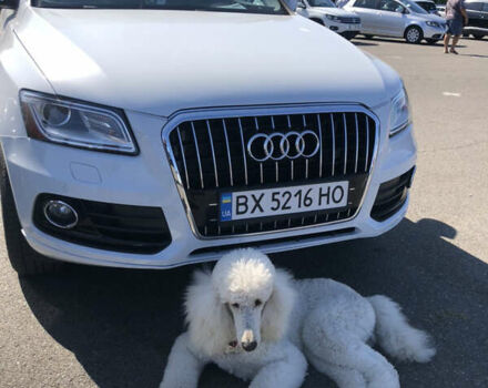 Белый Ауди Ку 5, объемом двигателя 2.97 л и пробегом 162 тыс. км за 19555 $, фото 1 на Automoto.ua