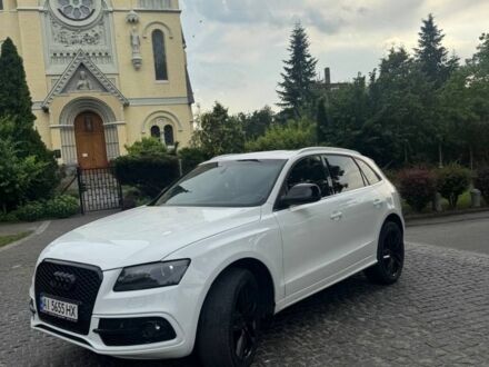 Ауди Ку 5 2013 в Фастове на Automoto.ua Белый Ауди Ку 5, объемом двигателя 3 л и пробегом 250 тыс. км за 14900 $, фото 1 на Automoto.ua