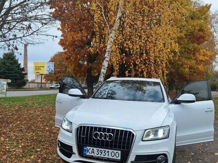 Ауди Ку 5 2014 в Лубнах на Automoto.ua Белый Ауди Ку 5, объемом двигателя 1.97 л и пробегом 160 тыс. км за 24499 $, фото 1 на Automoto.ua