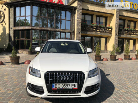 Ауди Ку 5 2014 в Тернополе на Automoto.ua Белый Ауди Ку 5, объемом двигателя 2 л и пробегом 176 тыс. км за 18499 $, фото 1 на Automoto.ua
