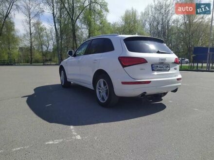 Ауди Ку 5 2015 в Сумах на Automoto.ua Белый Ауди Ку 5, объемом двигателя 1.98 л и пробегом 195 тыс. км за 19500 $, фото 1 на Automoto.ua