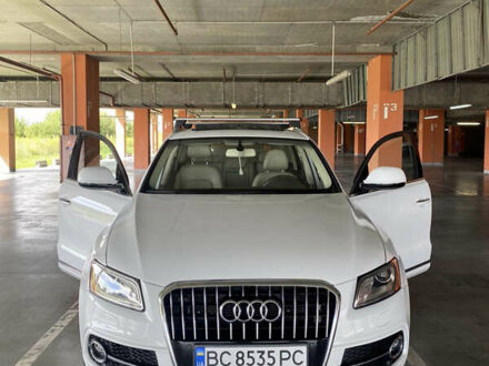 Ауді Ку 5 2016 у Житомирі на Automoto.ua Білий Ауді Ку 5, об'ємом двигуна 1.98 л та пробігом 250 тис. км за 15200 $, фото 1 на Automoto.ua