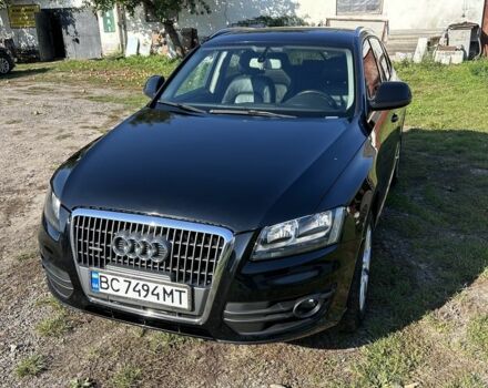 Ауди Ку 5 2010 в Радехове на Automoto.ua Черный Ауди Ку 5, объемом двигателя 2 л и пробегом 282 тыс. км за 9999 $, фото 3 на Automoto.ua