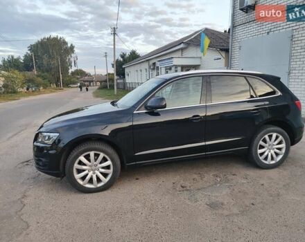 Ауди Ку 5 2011 в Чернигове на Automoto.ua Черный Ауди Ку 5, объемом двигателя 2 л и пробегом 207 тыс. км за 16800 $, фото 16 на Automoto.ua