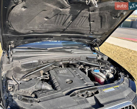 Ауді Ку 5 2013 у Києві на Automoto.ua Чорний Ауді Ку 5, об'ємом двигуна 1.98 л та пробігом 87 тис. км за 14900 $, фото 33 на Automoto.ua