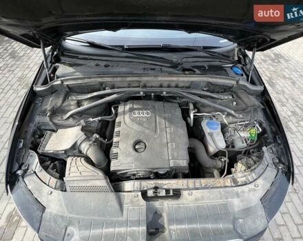 Ауди Ку 5 2015 в Каменке на Automoto.ua Черный Ауди Ку 5, объемом двигателя 2 л и пробегом 70 тыс. км за 20999 $, фото 2 на Automoto.ua