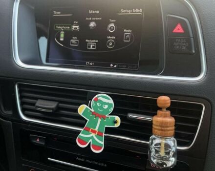 Черный Ауди Ку 5, объемом двигателя 0 л и пробегом 116 тыс. км за 12000 $, фото 18 на Automoto.ua