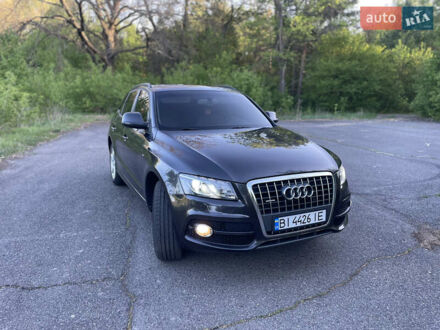 Ауди Ку 5 2010 в Шишаках на Automoto.ua Черный Ауди Ку 5, объемом двигателя 1.97 л и пробегом 288 тыс. км за 12800 $, фото 1 на Automoto.ua