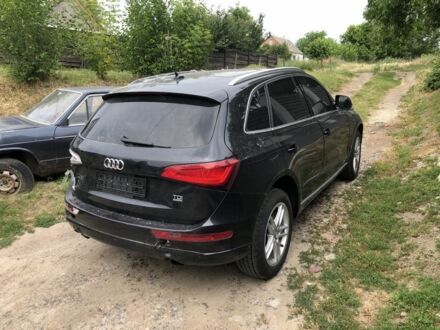 Ауди Ку 5 2013 в Звенигородка на Automoto.ua Черный Ауди Ку 5, объемом двигателя 3 л и пробегом 175 тыс. км за 11000 $, фото 1 на Automoto.ua