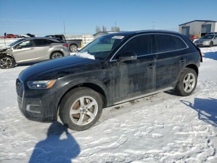 Ауди Ку 5 2021 в Львове на Automoto.ua Черный Ауди Ку 5, объемом двигателя 2 л и пробегом 112 тыс. км за 25300 $, фото 1 на Automoto.ua
