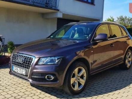 Ауди Ку 5 2010 в Запорожье на Automoto.ua Фиолетовый Ауди Ку 5, объемом двигателя 2 л и пробегом 209 тыс. км за 12800 $, фото 1 на Automoto.ua