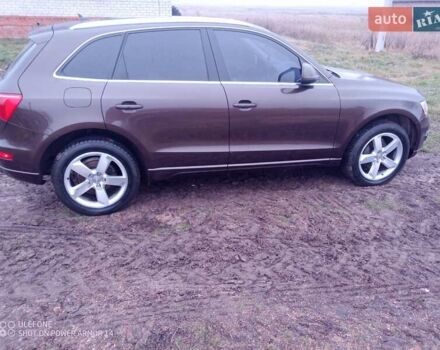 Коричневый Ауди Ку 5, объемом двигателя 1.98 л и пробегом 241 тыс. км за 12600 $, фото 3 на Automoto.ua