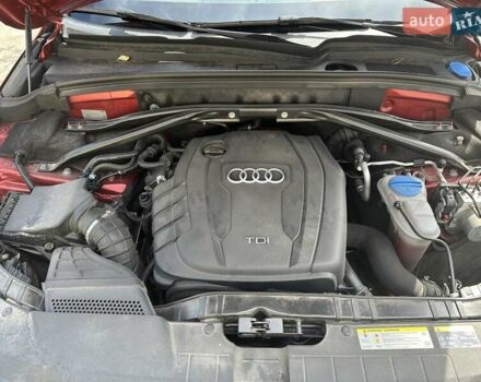 Красный Ауди Ку 5, объемом двигателя 1.98 л и пробегом 124 тыс. км за 20300 $, фото 39 на Automoto.ua