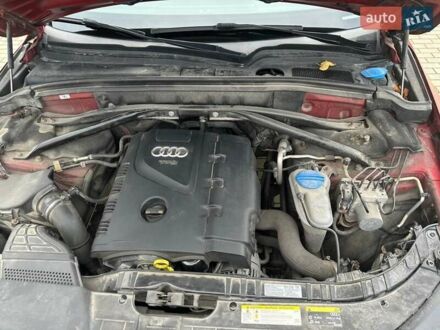 Ауди Ку 5 2013 в Луцке на Automoto.ua Красный Ауди Ку 5, объемом двигателя 1.98 л и пробегом 171 тыс. км за 15000 $, фото 1 на Automoto.ua