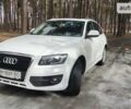 Ауди Ку 5, объемом двигателя 3 л и пробегом 265 тыс. км за 16001 $, фото 72 на Automoto.ua