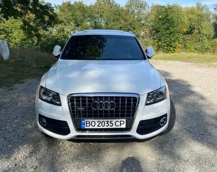 Ауди Ку 5, объемом двигателя 3.2 л и пробегом 215 тыс. км за 15999 $, фото 1 на Automoto.ua