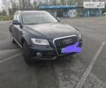 Ауди Ку 5, объемом двигателя 2.97 л и пробегом 212 тыс. км за 18500 $, фото 1 на Automoto.ua