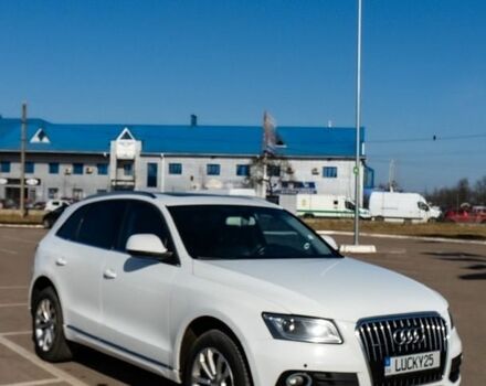 Ауди Ку 5, объемом двигателя 2 л и пробегом 264 тыс. км за 13200 $, фото 1 на Automoto.ua