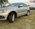 Ауди Ку 5 2012 в Львове на Automoto.ua Серый Ауди Ку 5, объемом двигателя 1.98 л и пробегом 203 тыс. км за 13600 $, фото 17 на Automoto.ua