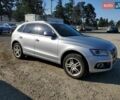 Ауди Ку 5 2014 в Черкассах на Automoto.ua Серый Ауди Ку 5, объемом двигателя 1.98 л и пробегом 145 тыс. км за 3000 $, фото 2 на Automoto.ua