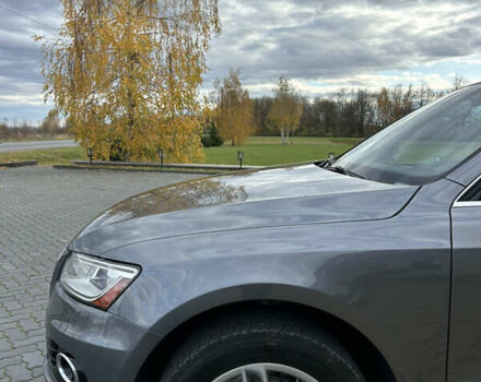 Ауді Ку 5 2015 у Коломые на Automoto.ua Сірий Ауді Ку 5, об'ємом двигуна 2 л та пробігом 220 тис. км за 15800 $, фото 28 на Automoto.ua